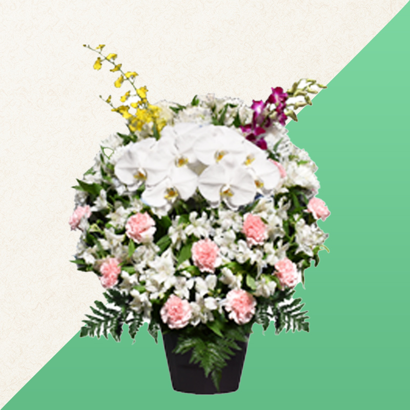 ファミリーホール高津の供花、洋花【胡蝶蘭入】 22,000円