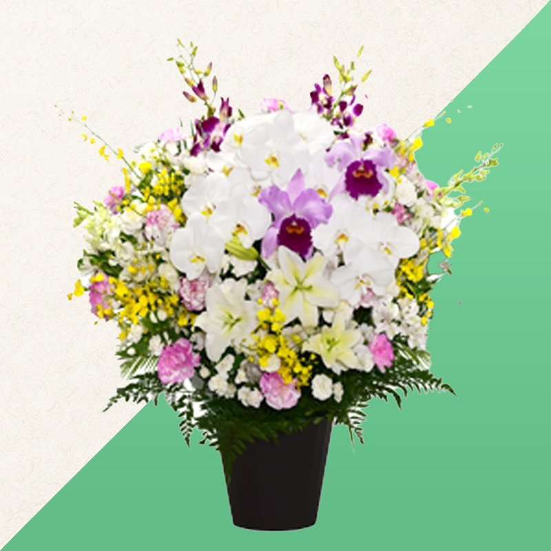 ファミリーホール高津の供花、洋花【胡蝶蘭・百合・カトレア入】 33,000円